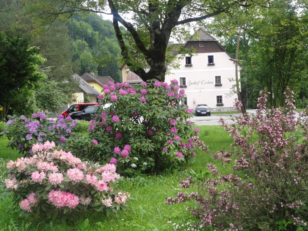 Gasthof Eschau Palfau Εξωτερικό φωτογραφία